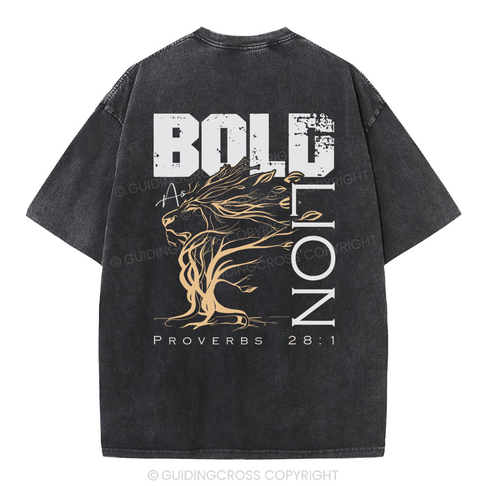 Bold As Lion Christian Washed T-Shirt