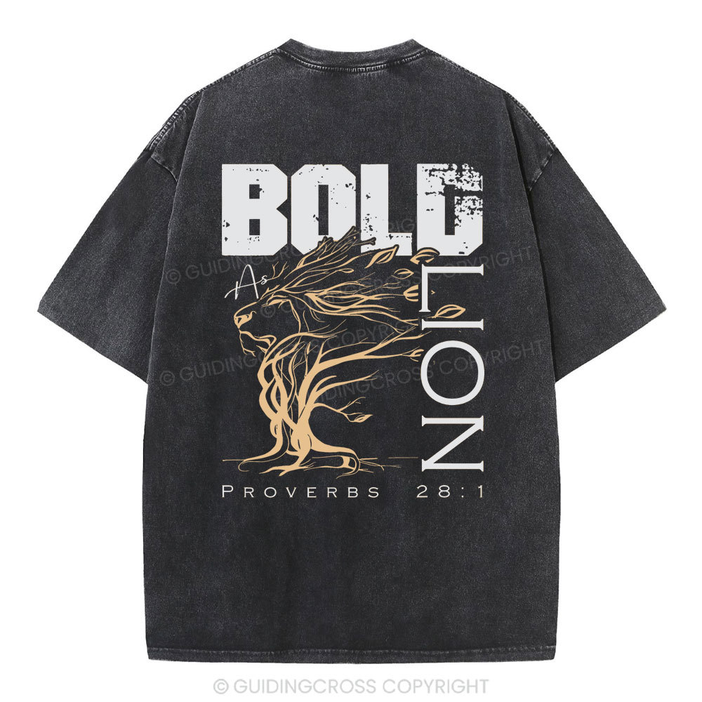 Bold As Lion Christian Washed T-Shirt