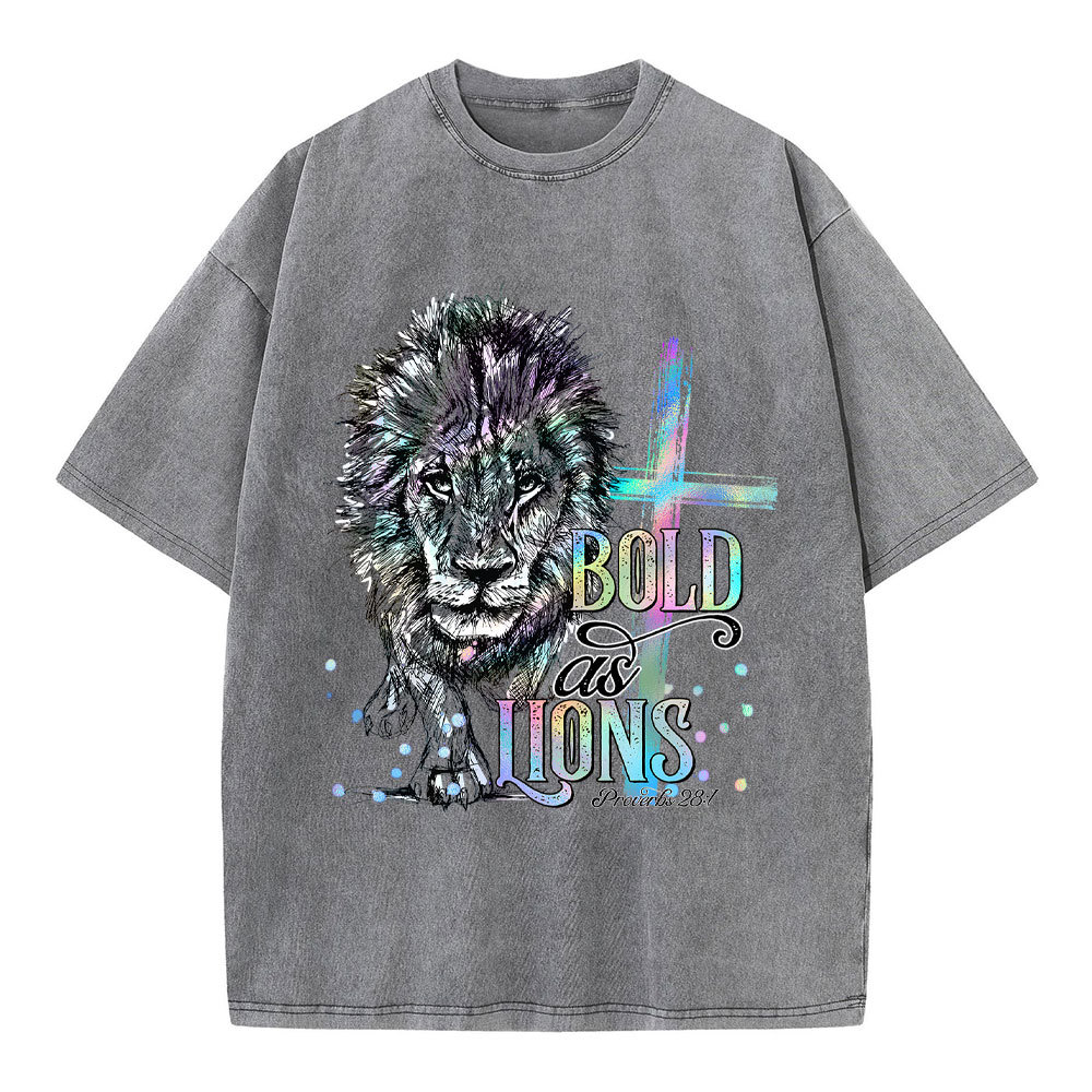 Bold As Lions Christian Washed T-Shirt