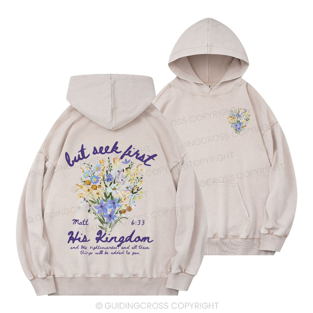 But Seek First Christian Washed Hoodie