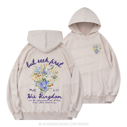 But Seek First Christian Washed Hoodie