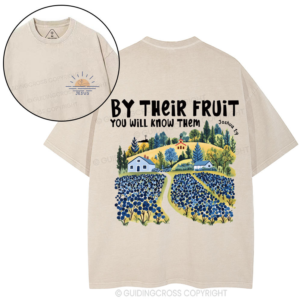By Their Fruit You Will Know Them Christian Washed T-Shirt