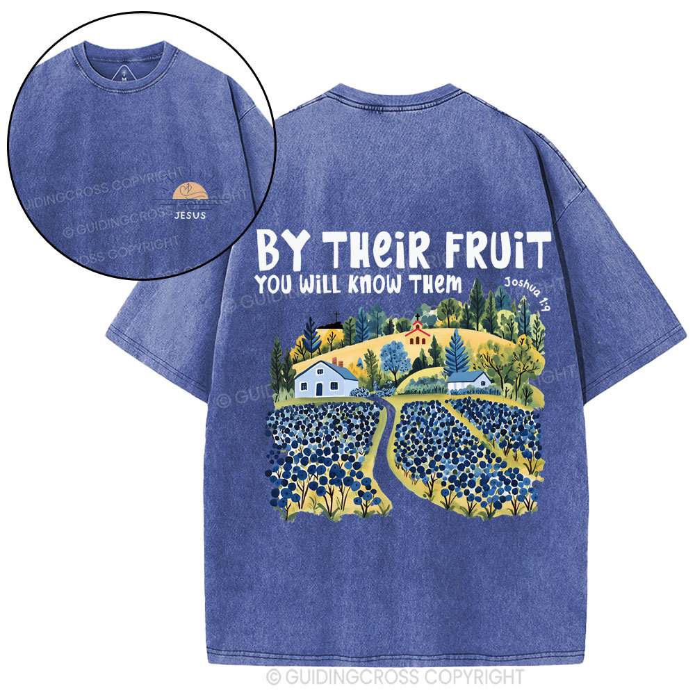 By Their Fruit You Will Know Them Christian Washed T-Shirt