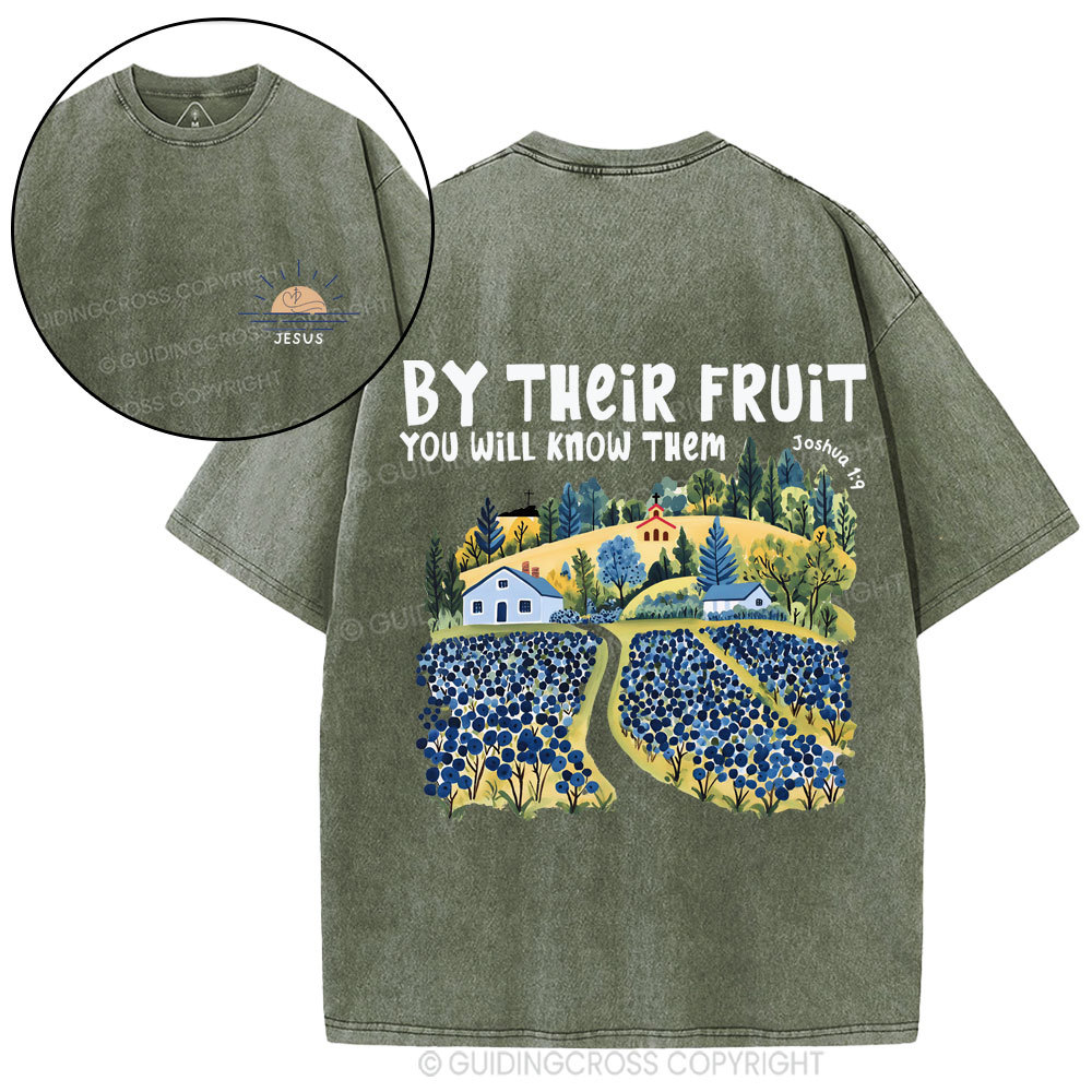 By Their Fruit You Will Know Them Christian Washed T-Shirt
