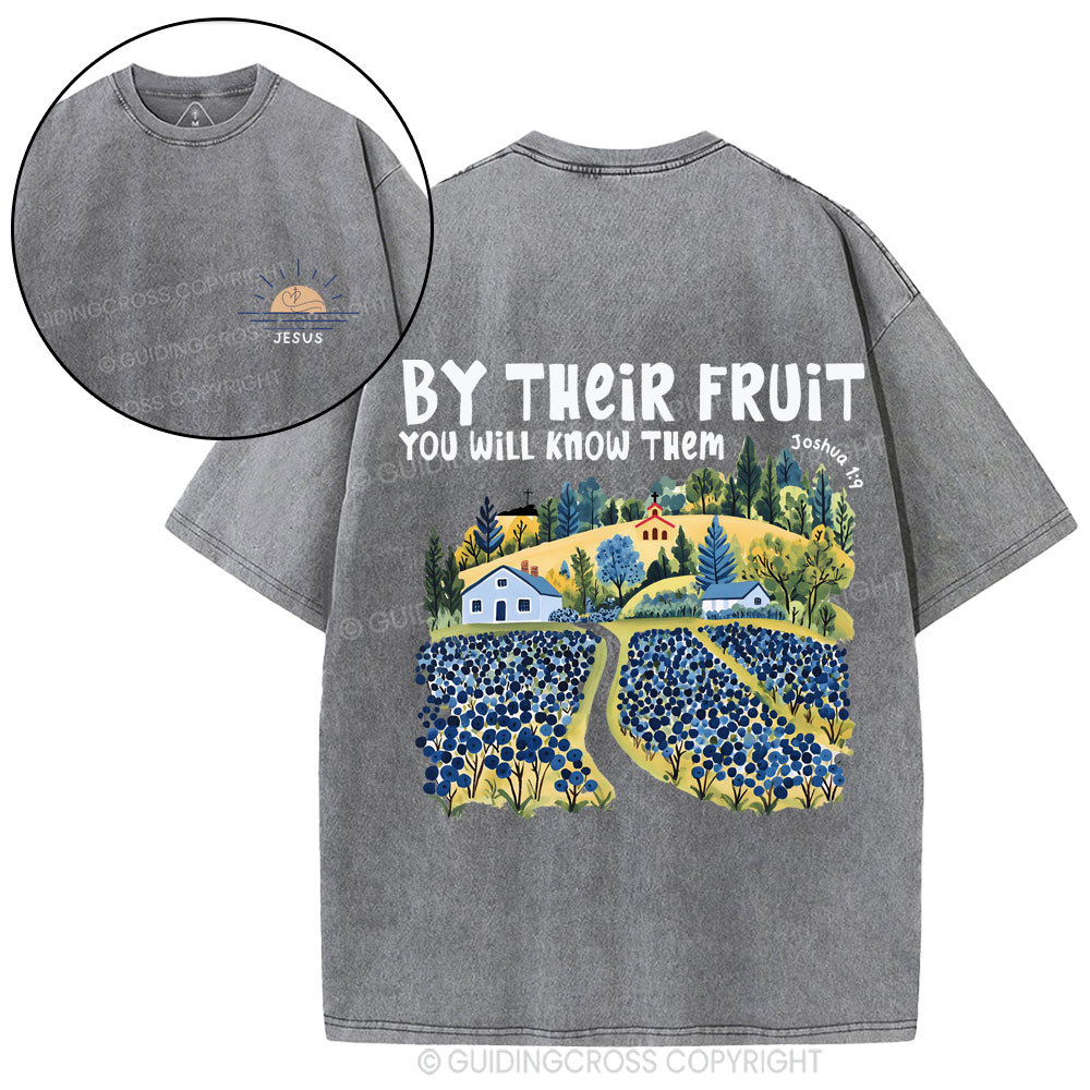By Their Fruit You Will Know Them Christian Washed T-Shirt
