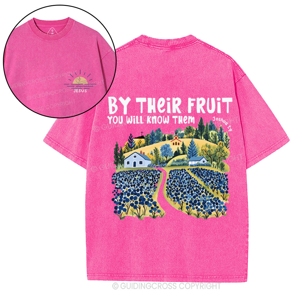 By Their Fruit You Will Know Them Christian Washed T-Shirt