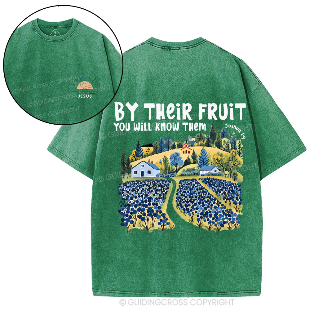 By Their Fruit You Will Know Them Christian Washed T-Shirt