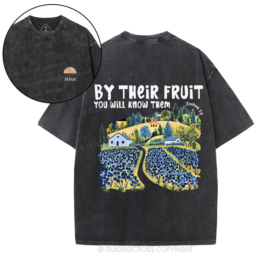 By Their Fruit You Will Know Them Christian Washed T-Shirt