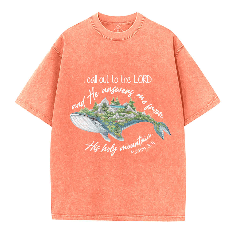 Call Out To The Lord Christian Washed T-Shirt