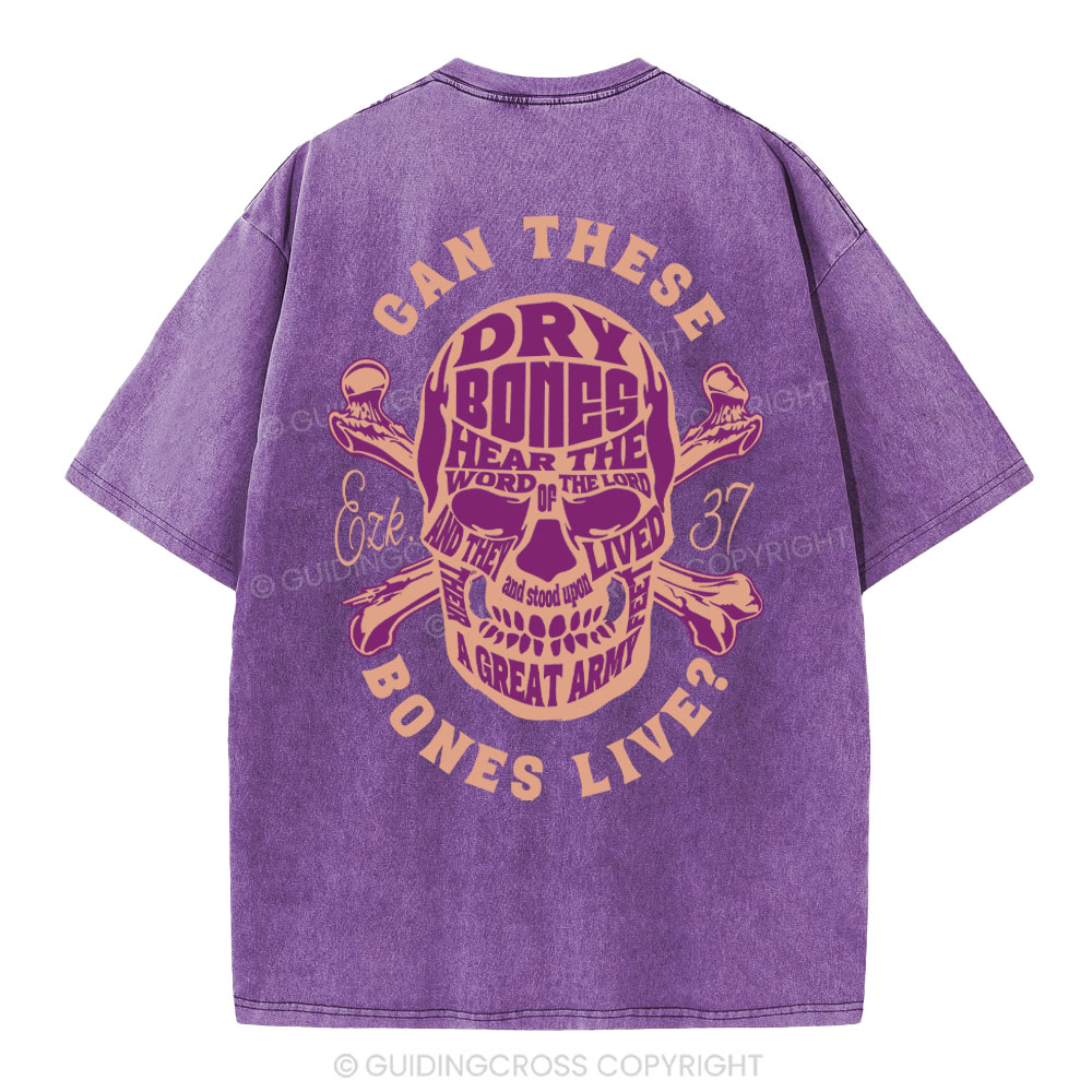 Can These Bones Lives Christian Washed T-Shirt