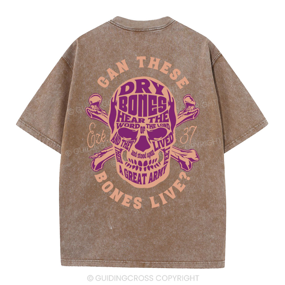 Can These Bones Lives Christian Washed T-Shirt