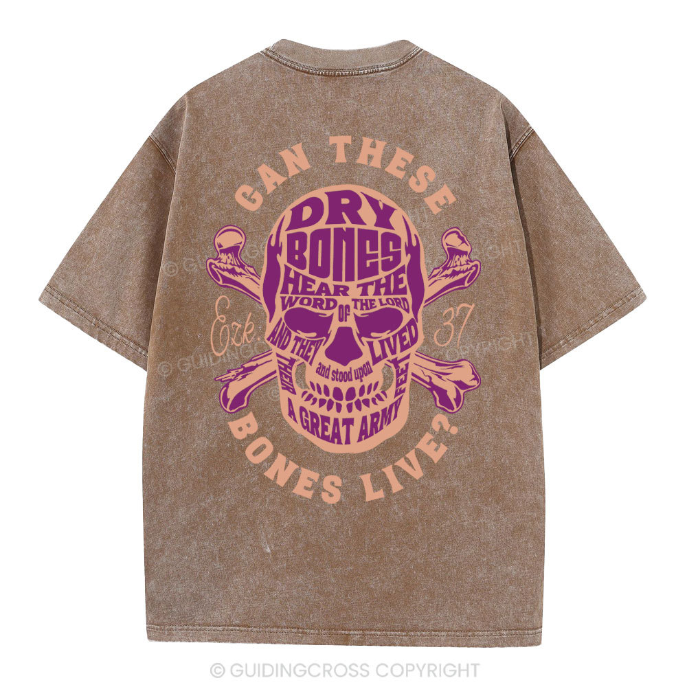 Can These Bones Lives Christian Washed T-Shirt