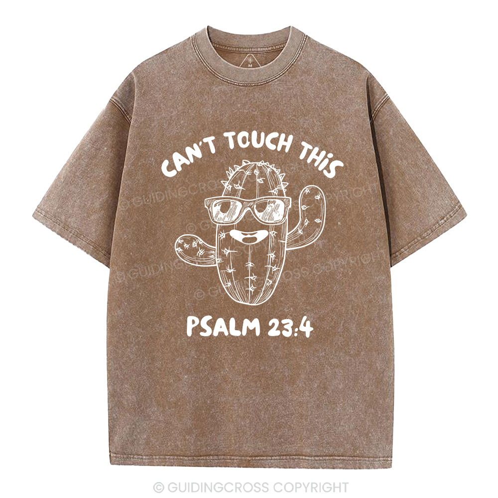 Can't Touch This Christian Washed T-Shirt
