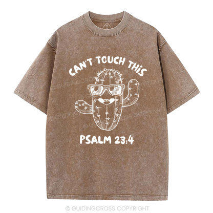 Can't Touch This Christian Washed T-Shirt