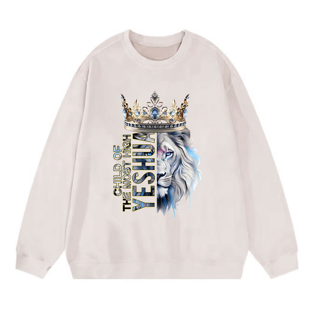 Child Of The Most High Christian Washed Sweatshirt