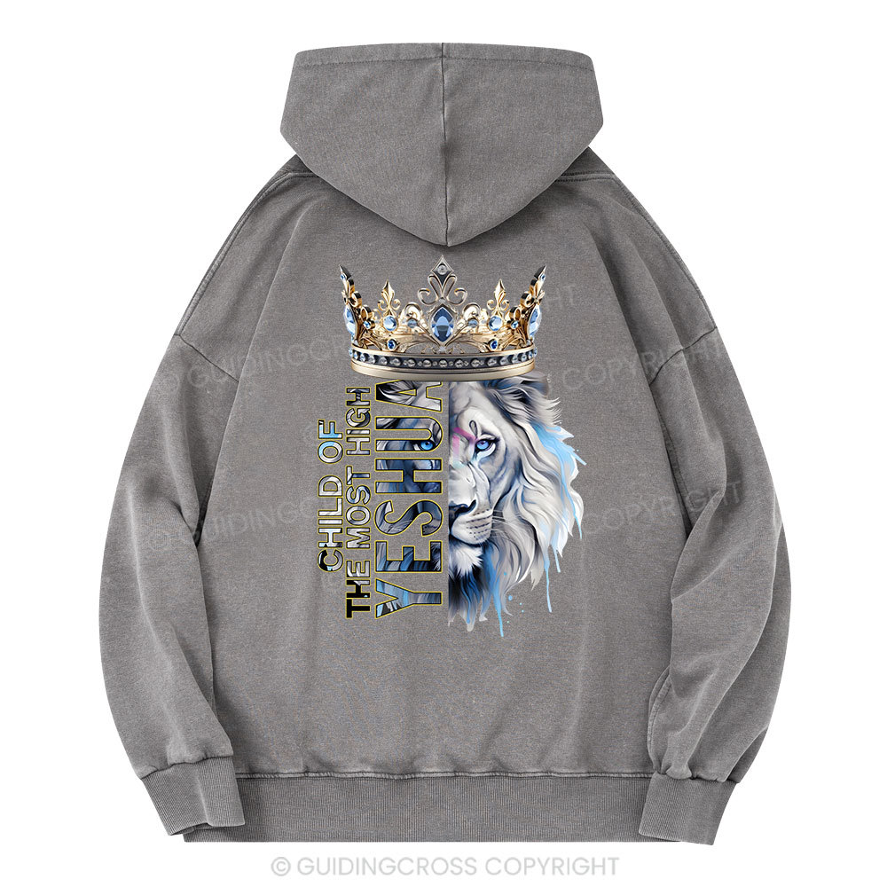 Child Of The Most High Lion Christian Washed Hoodie
