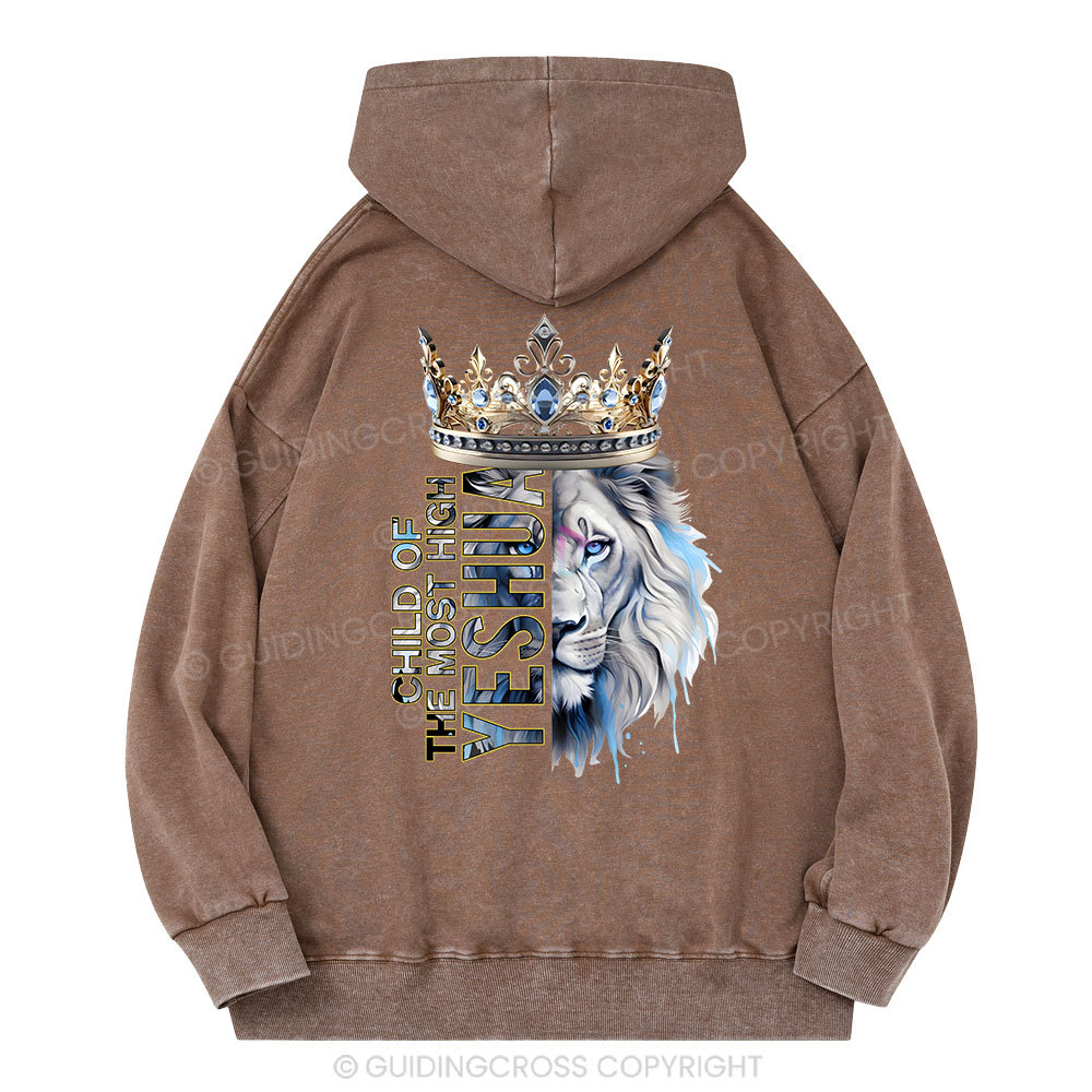 Child Of The Most High Lion Christian Washed Hoodie