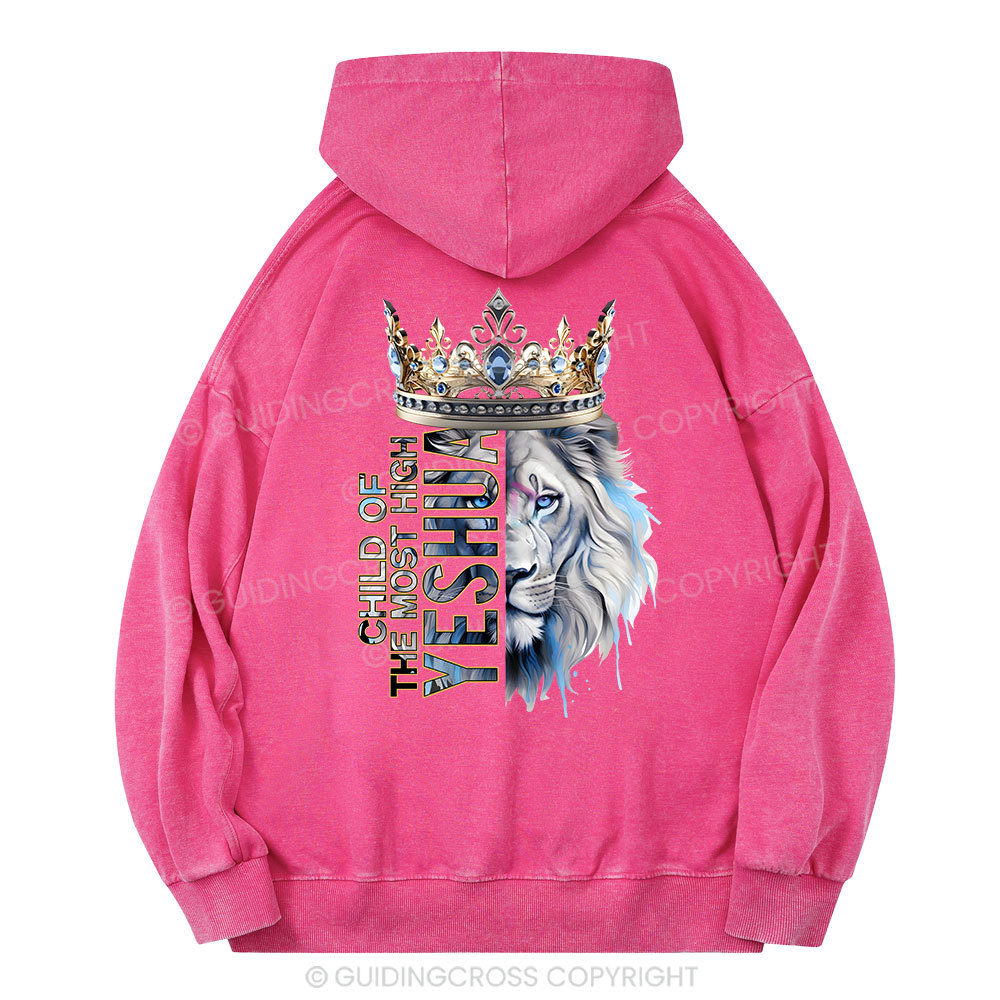 Vintage Christian Washed Hoodie Sample Sale - GuidingCross