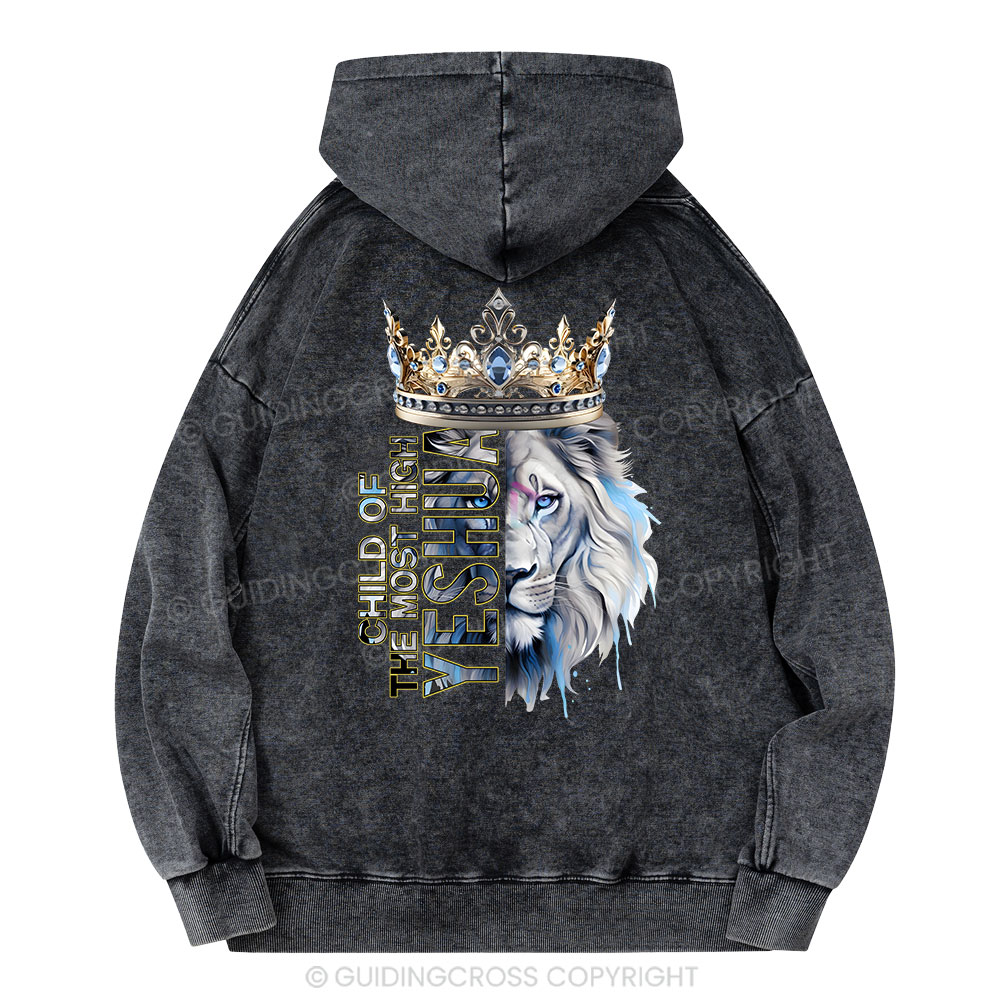 Child Of The Most High Lion Christian Washed Hoodie