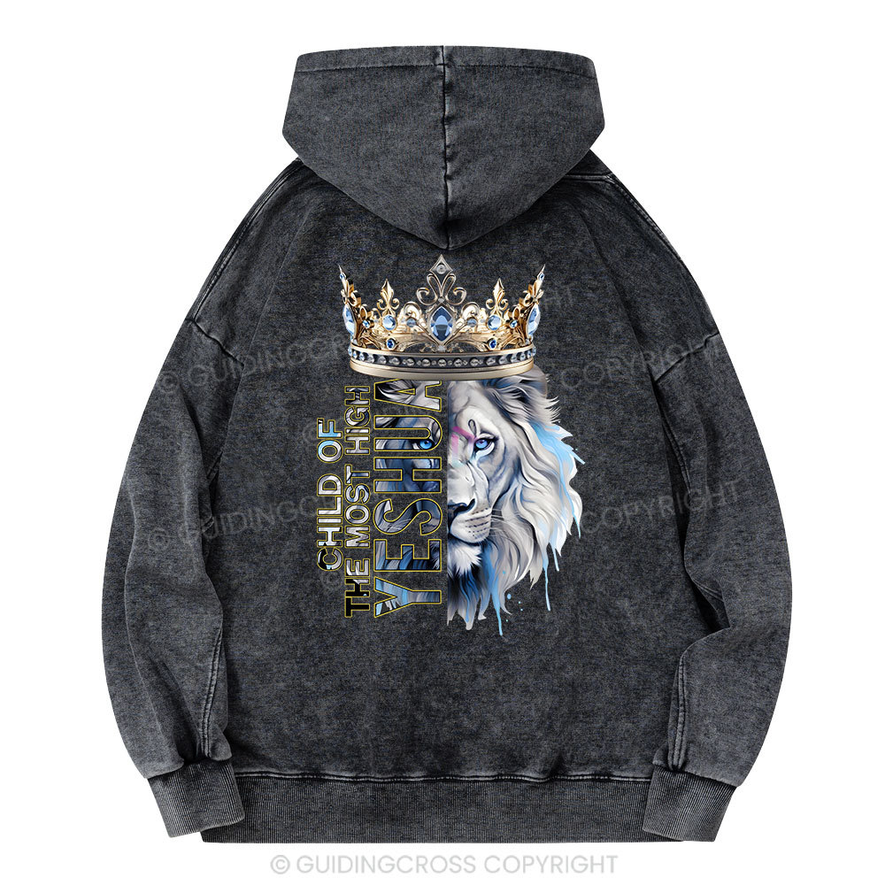Child Of The Most High Lion Christian Washed Hoodie
