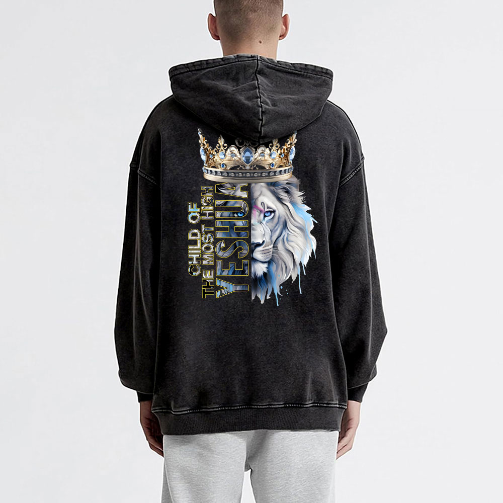 Child Of The Most High Lion Christian Washed Hoodie