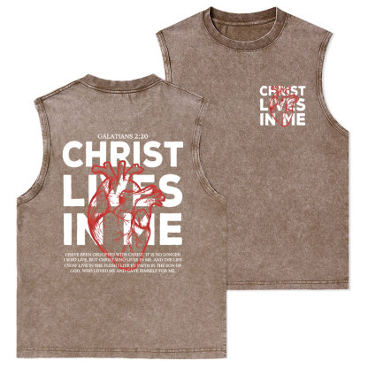 Christ Lives In Me Christian Washed Tank Top