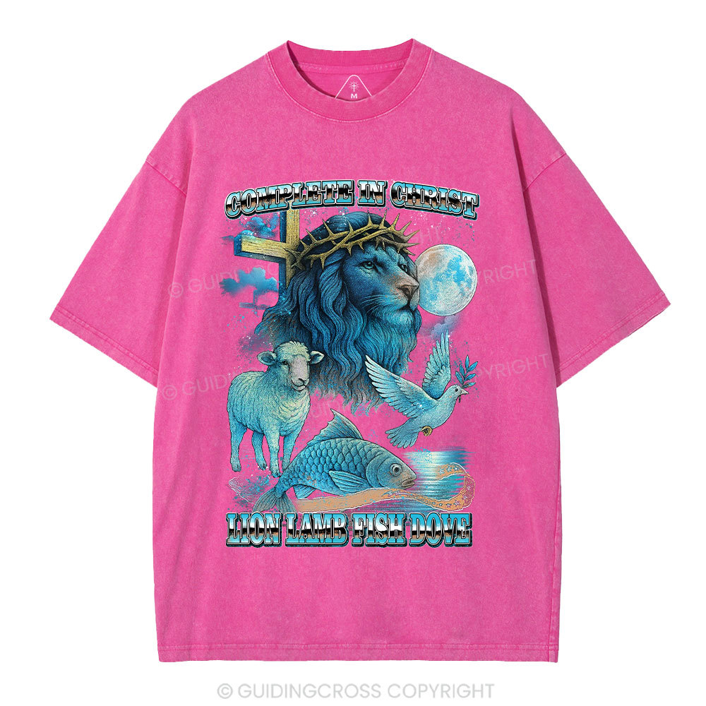 Complete in Christ Christian Washed T-Shirt