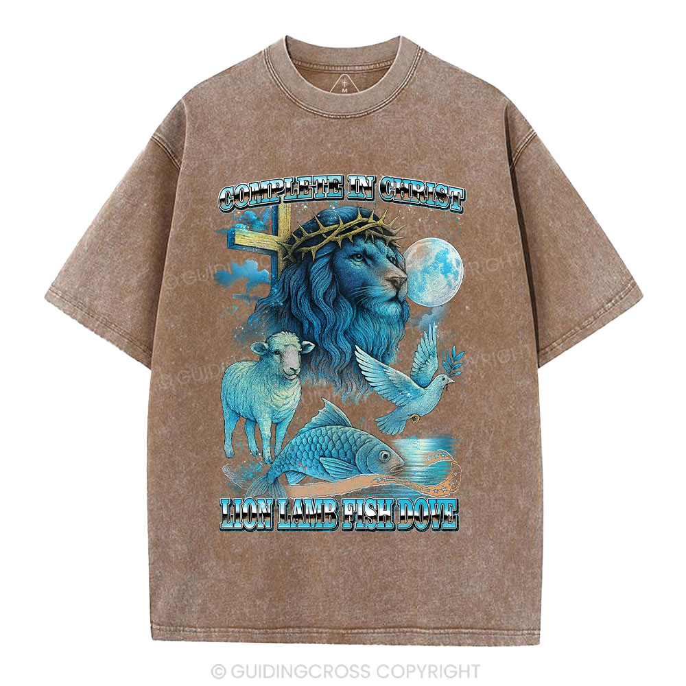 Complete in Christ Christian Washed T-Shirt