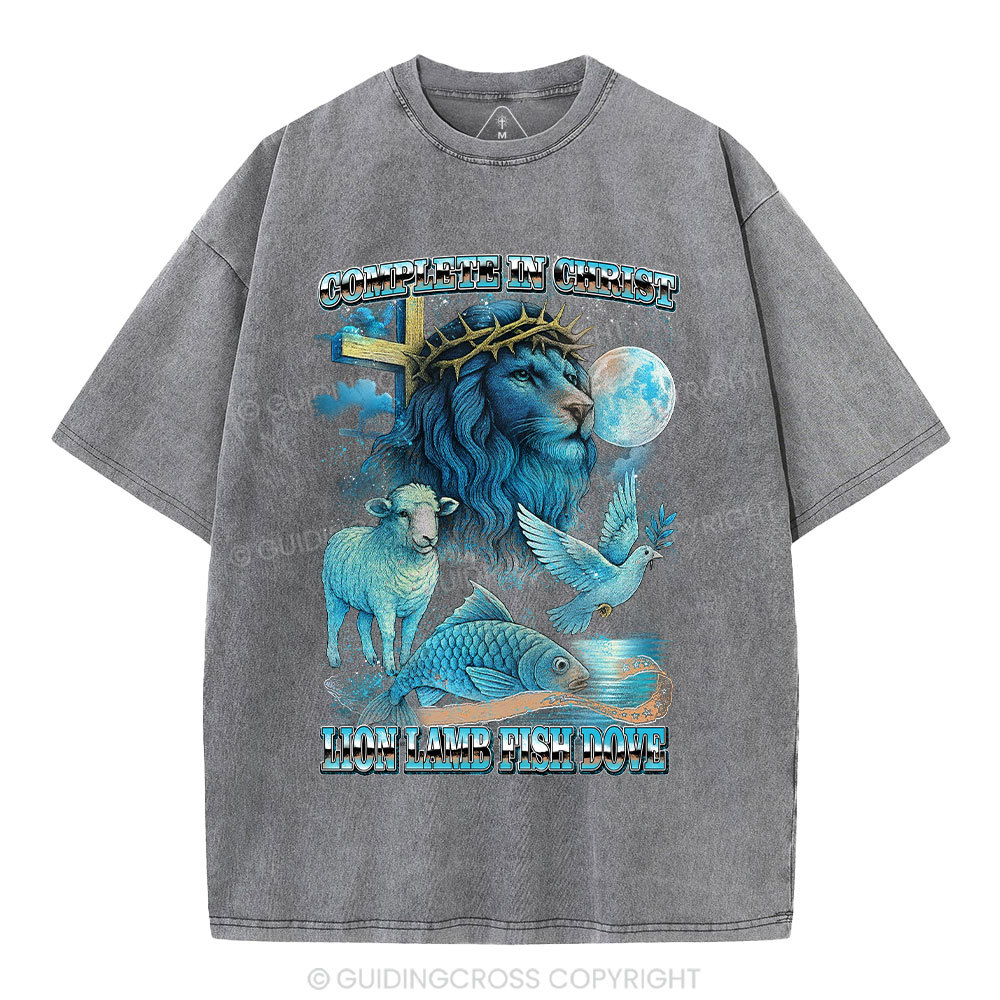 Complete in Christ Christian Washed T-Shirt