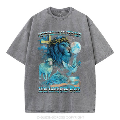 Complete in Christ Christian Washed T-Shirt
