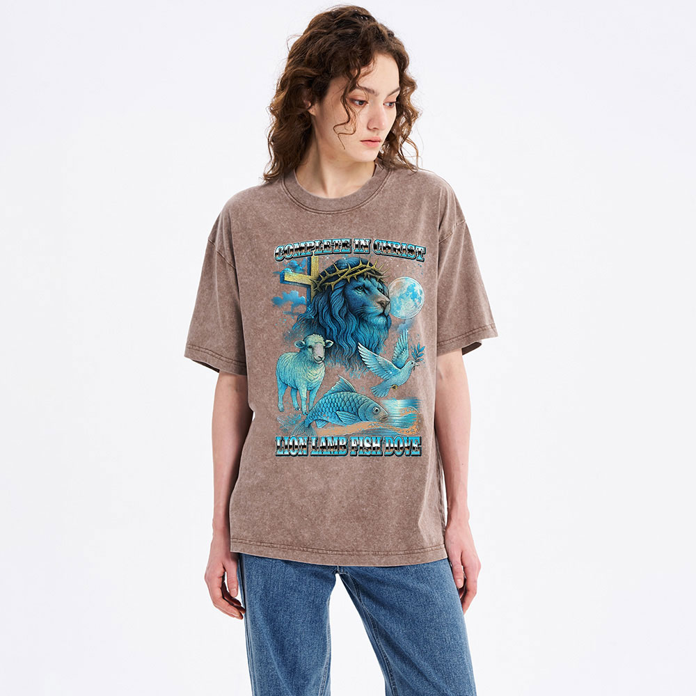 Complete in Christ Christian Washed T-Shirt