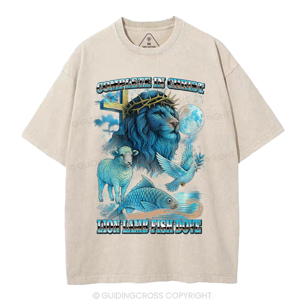 Complete in Christ Christian Washed T-Shirt