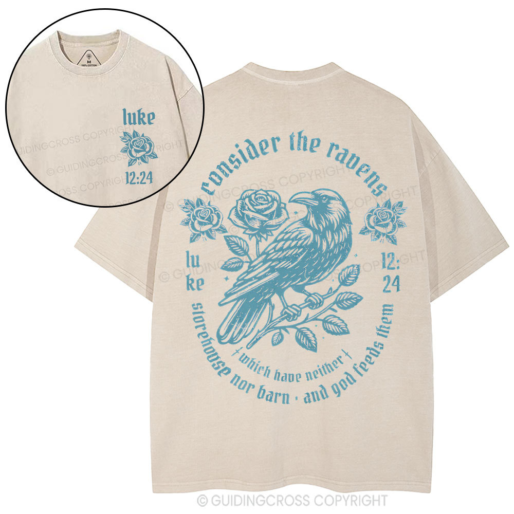 Consider The Rauens Christian Washed T-Shirt