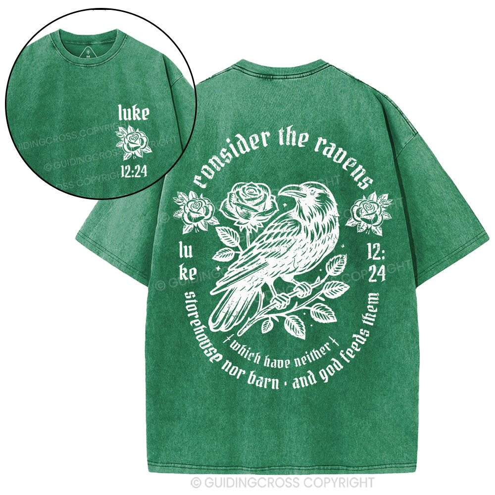 Consider The Rauens Christian Washed T-Shirt