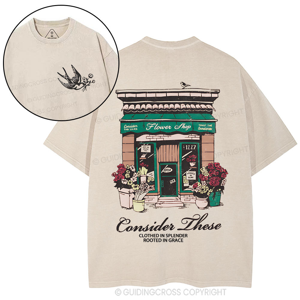 Consider These Clothed In Splender Christian Washed T-Shirt