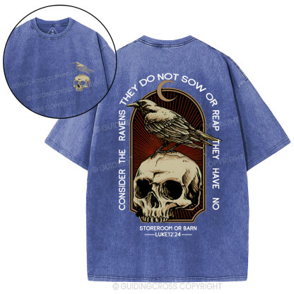 Consider the ravens Christian Washed T-Shirt