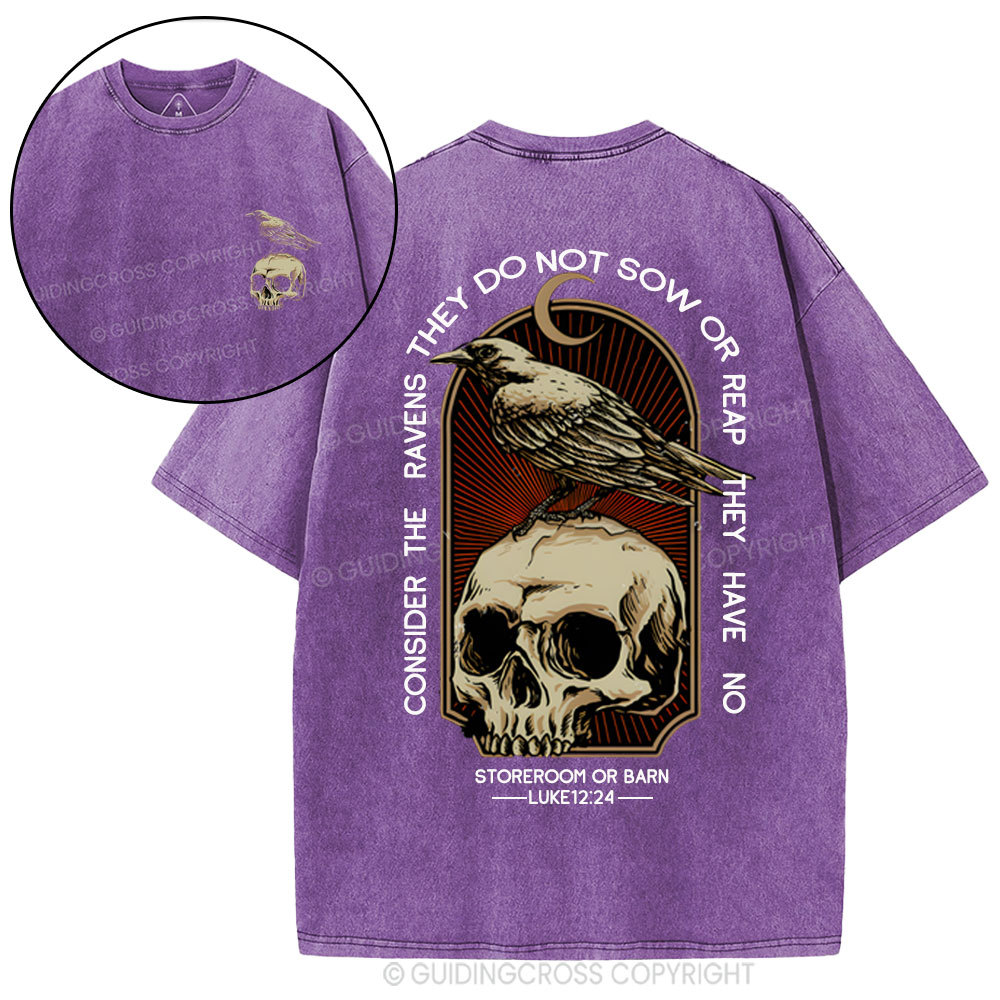 Consider the ravens Christian Washed T-Shirt