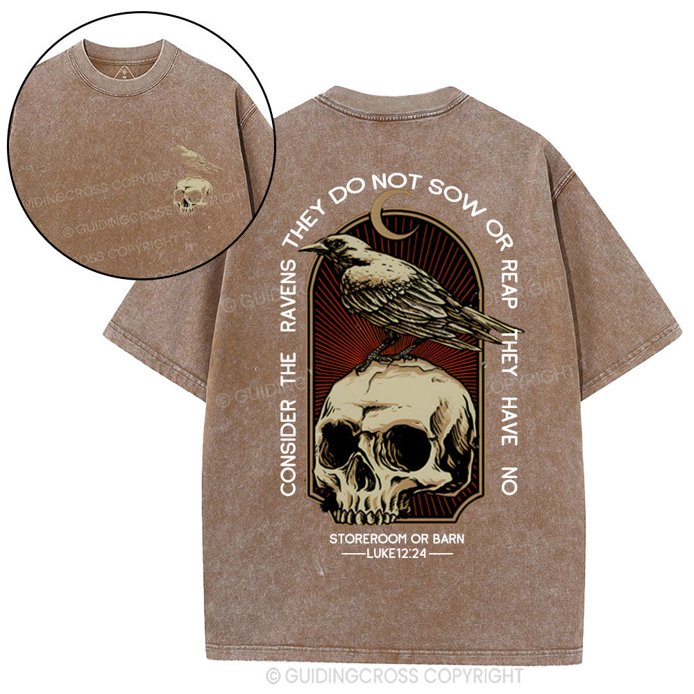 Consider the ravens Christian Washed T-Shirt