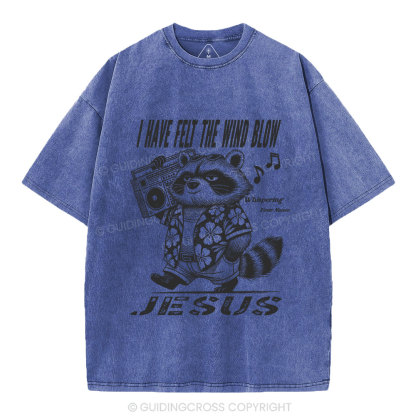 Creation Calls Christian Washed T-Shirt