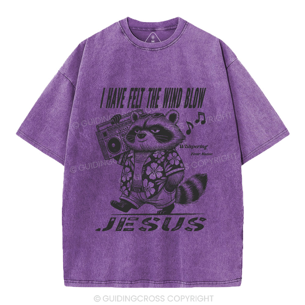 NEW-Sample Christian Washed T-Shirt Sale - GuidingCross