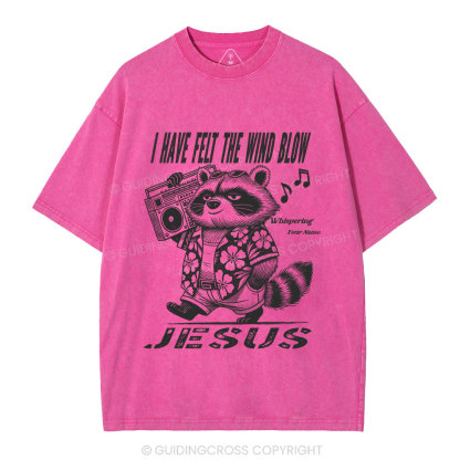 Creation Calls Christian Washed T-Shirt