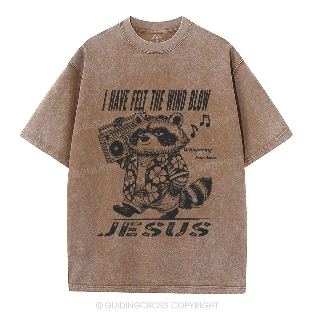 Creation Calls Christian Washed T-Shirt