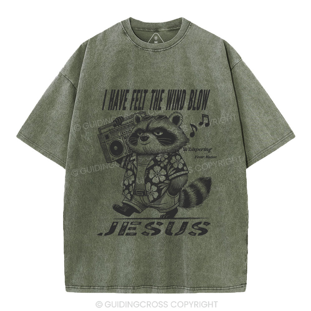 Creation Calls Christian Washed T-Shirt