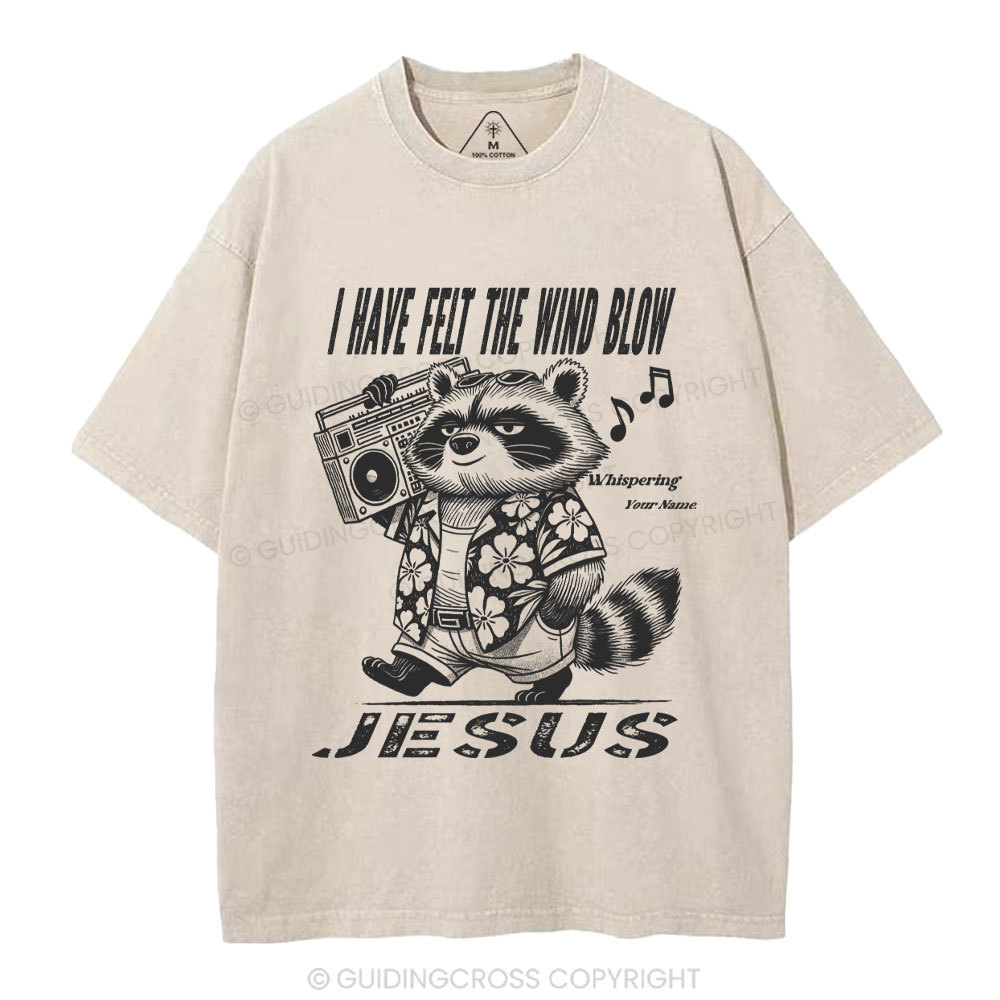 Creation Calls Christian Washed T-Shirt