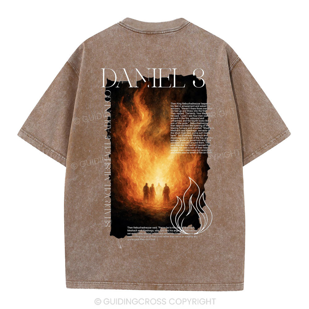 Daniel 3 Christian Washed T-Shirt