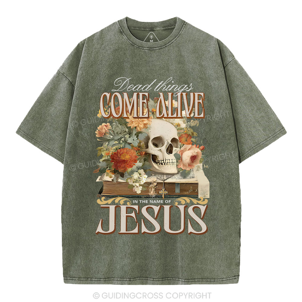 Dead Things Come Alive In The Name Of Jesus Christian Washed T-Shirt
