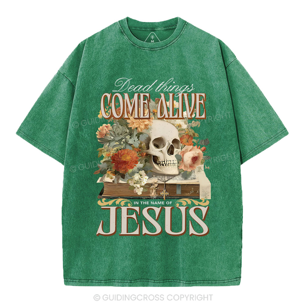 Dead Things Come Alive In The Name Of Jesus Christian Washed T-Shirt