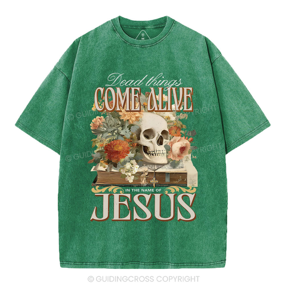 Dead Things Come Alive In The Name Of Jesus Christian Washed T-Shirt