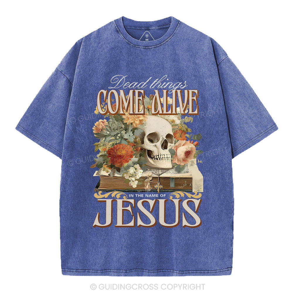 Dead Things Come Alive In The Name Of Jesus Christian Washed T-Shirt