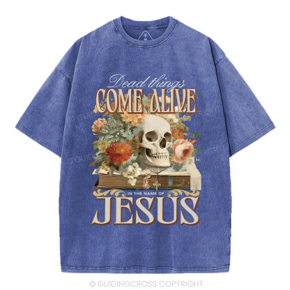 Dead Things Come Alive In The Name Of Jesus Christian Washed T-Shirt